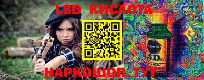 шишки Сланцы