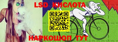 шишки Сланцы