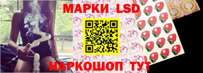 шишки Сланцы
