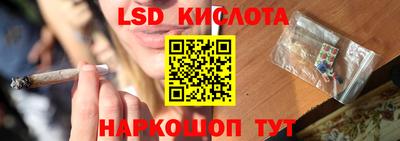 ешки Славгород