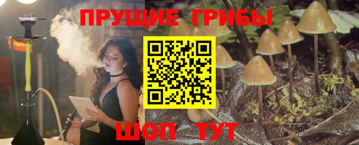 Псилоцибиновые грибы Magic Shrooms Реутов