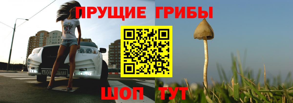Реутов  Псилоцибиновые грибы Magic Shrooms  Вход с VPN 